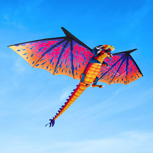 The 10 Foot Dragon Kite