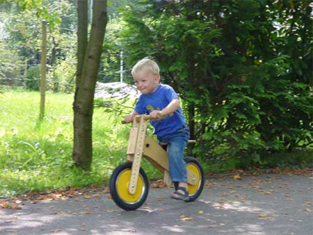 fun and functional pedobike