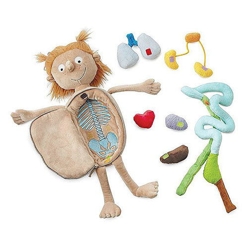 Plush Little Patient Teaches Children about Human Anatomy