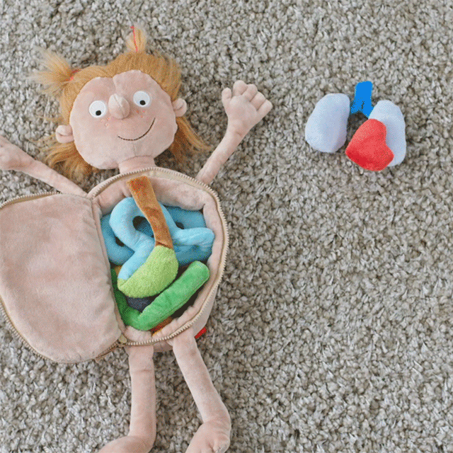 Plush Little Patient Teaches Children about Human Anatomy