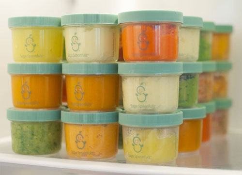 Sage Spoonfuls Baby Food Maker