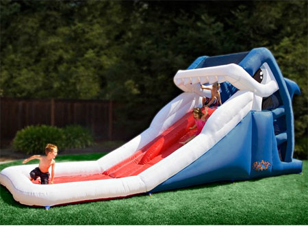 white shark inflatable slide